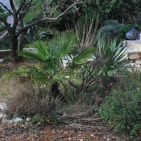 Secluded Fisherman's Cove Vitane, Pasman - 8484 Tatil Evi Tkon